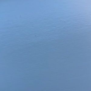 Black bumper castify case with pop socket